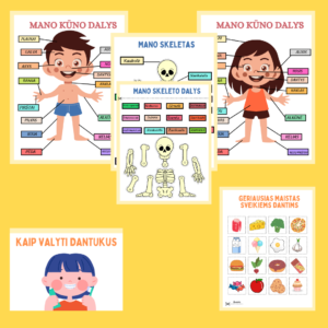 Žmogaus kūno anatomijos užduotėlės vaikams – 25 puslapių PDF su kūno dalimis, organais ir skeletu